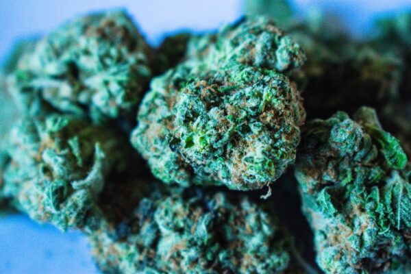 cannabis,dispensary,hobbs,roswell,ruidoso,el paso,Bryan's Green Care